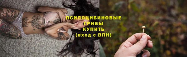 гидра Грязовец
