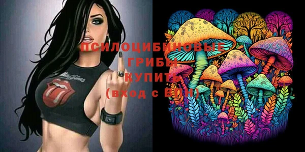 крисы Няндома