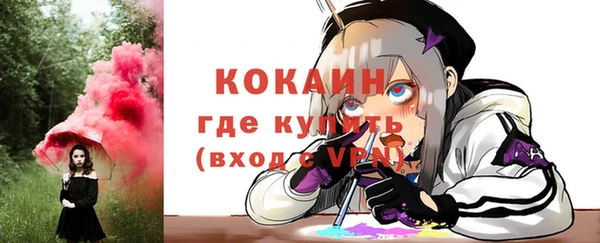 spice Новозыбков