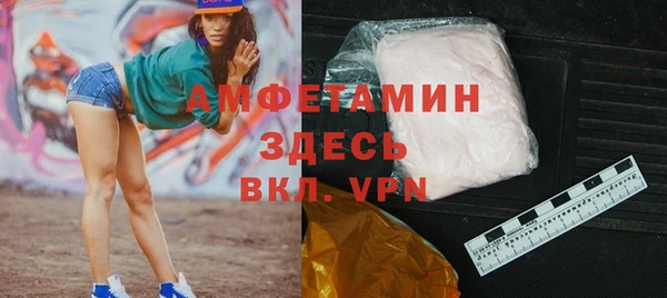 крисы Няндома