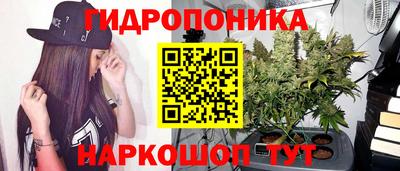 эйфоретик Балахна