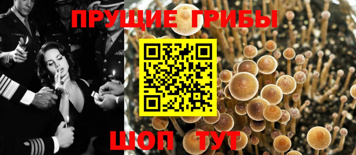 Галлюциногенные грибы ЛСД Коряжма