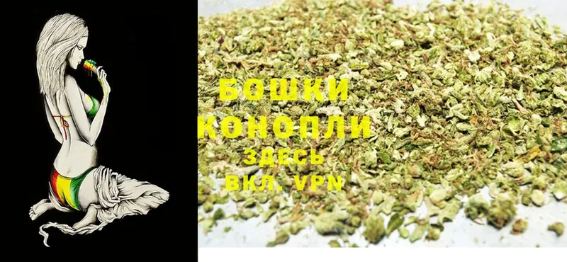 Конопля Ganja  Коряжма 